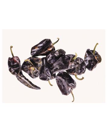 Dried Chillies Chilhuacle Negro  50g (Chilehuacle) - Secos