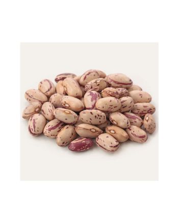 Dried Beans Pinto 500g